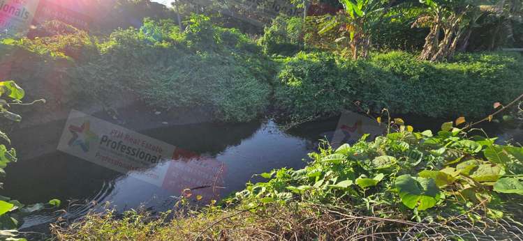 Address withheld Savusavu_28