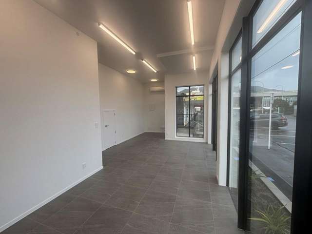 41 Birch Street Hutt Central_2