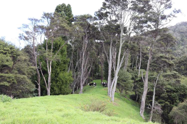 51a Waingaro Road Ngaruawahia_18