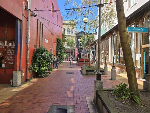 208/20 Left Bank Te Aro_3