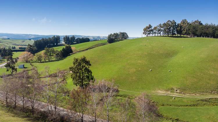 285 Clarks Flat Road Waitahuna_19