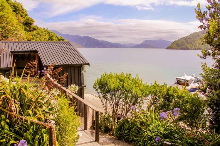 Blackwood Bay Queen Charlotte Sound_39