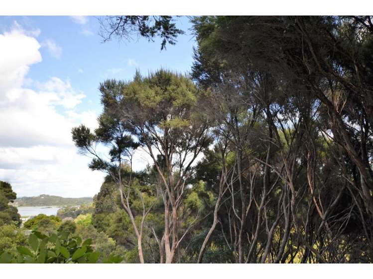 Opito Bay Road Kerikeri_11