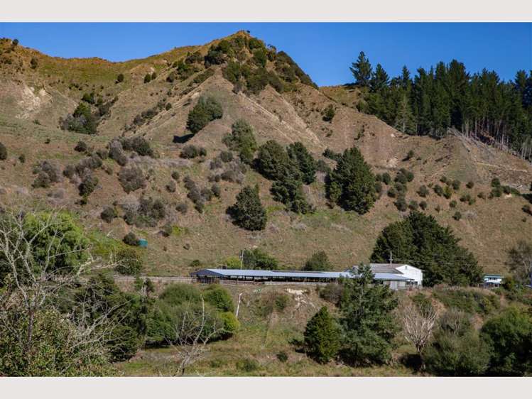 608 Upper Retaruke Road Ruapehu-King Country Surrounds_11