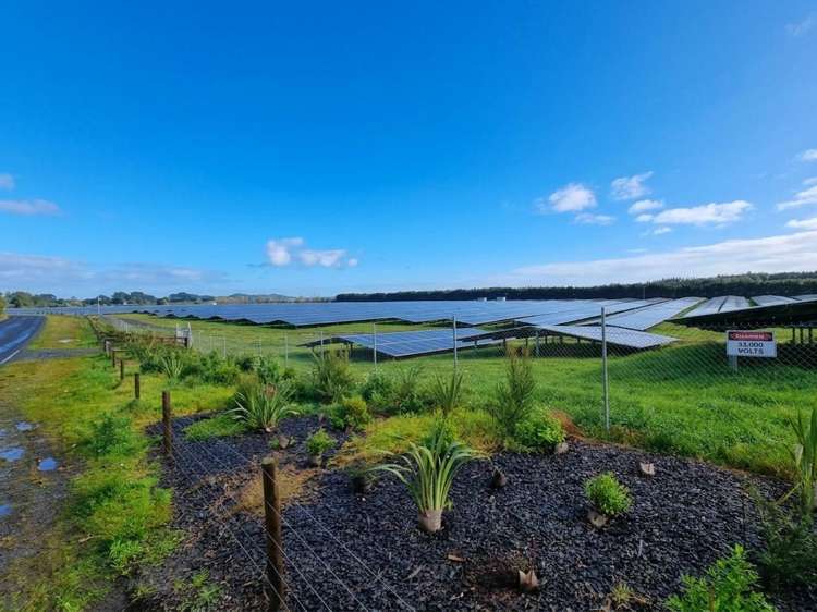 124 Lamb Road Pukenui_2