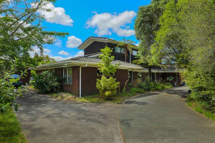 137 Oteha Valley Road Fairview Heights_4