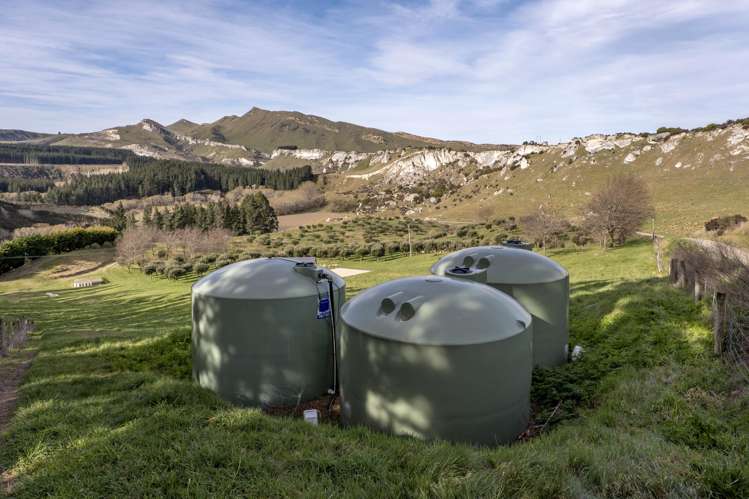 101 Laidmore Road Broomfield_14