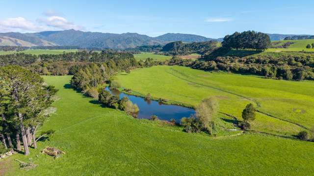 886 Kakariki Road Eketahuna_2