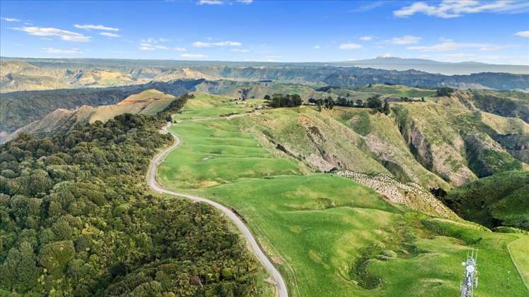 1535 Taumatamaire Road Awakino_15