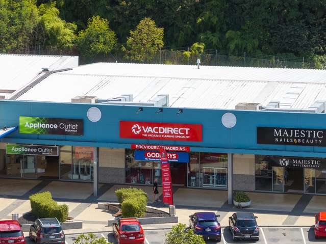 233 Fraser Street Tauranga South_1