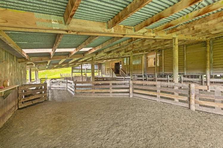 878 Mokauiti Road Aria_21