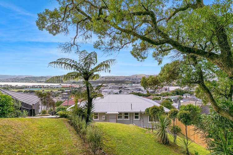 34 Waiho Terrace Elsdon_14