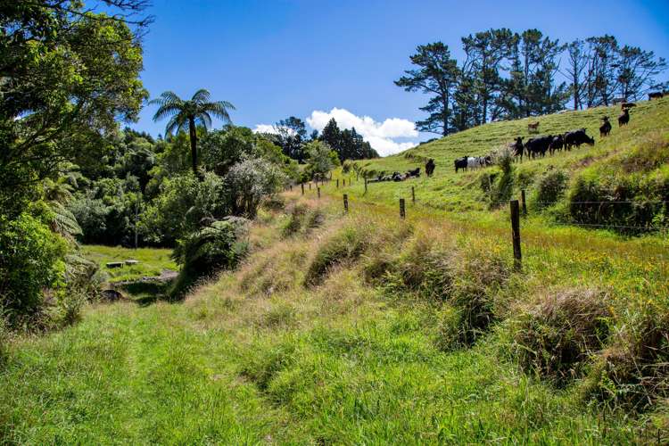 1256 Mangorei Road Mangorei_24