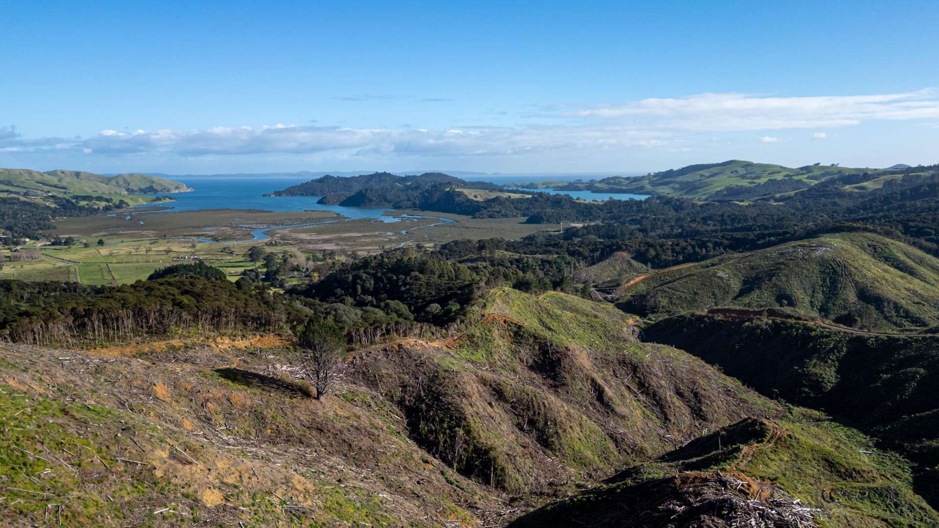 982B Manaia Road Coromandel_0