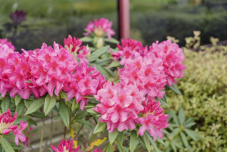 6170 State Highway 12 Dargaville_24