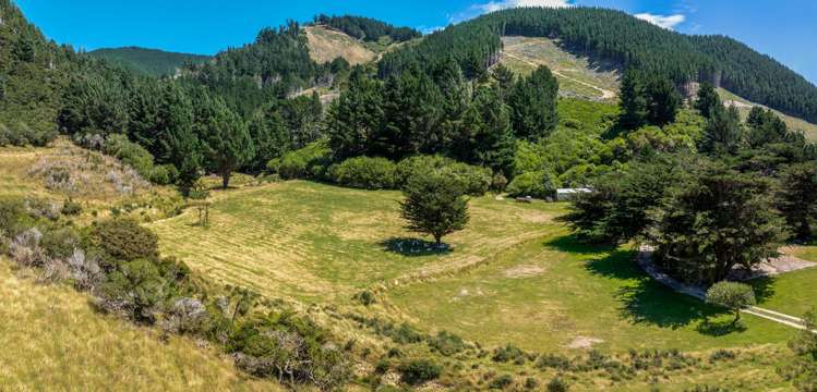 528 Oyster Bay Marlborough Sounds_57