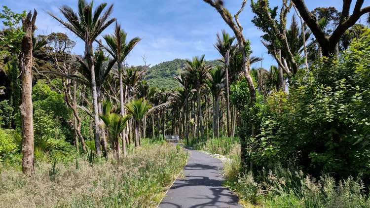 2 Ross Place Punakaiki_5