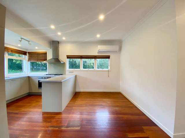 4 Moira Street Ponsonby_2