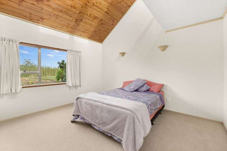 169 Waipapa West Road Kerikeri Surrounds_14