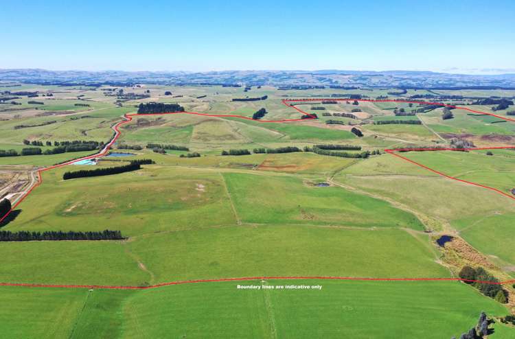 1550 Waimumu Road Te Tipua_19