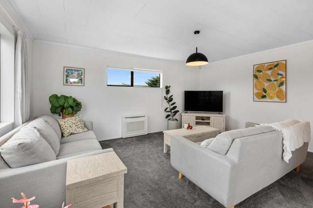 78c Lorne Street Morrinsville_4