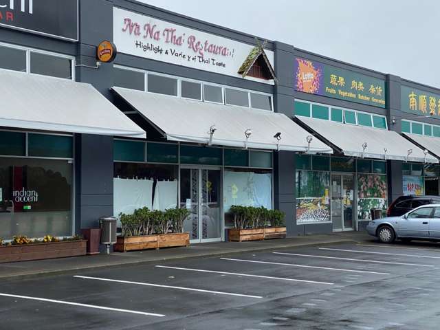 308 Te Irirangi Drive Flat Bush_1