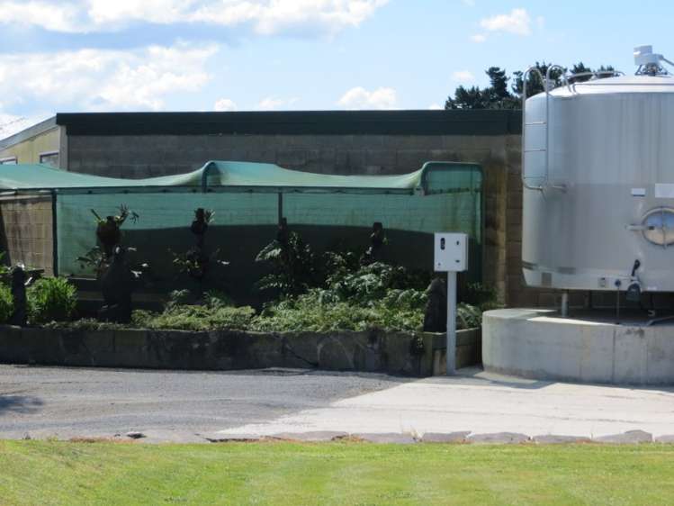 95 Bowler Road Te Aroha_8