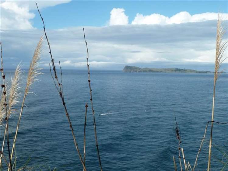 13 Pacific Drive Tairua_30