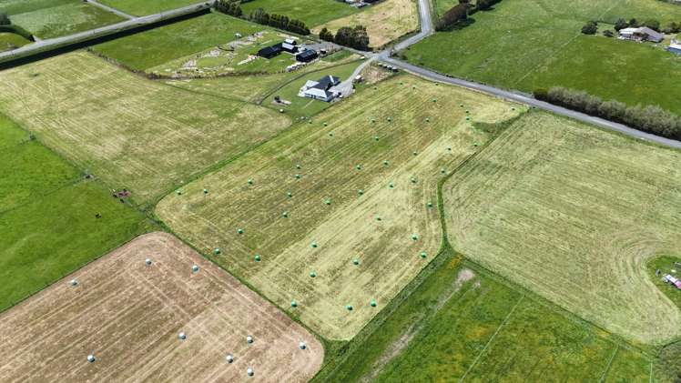 46 Brunswick Way Seaward Bush_6