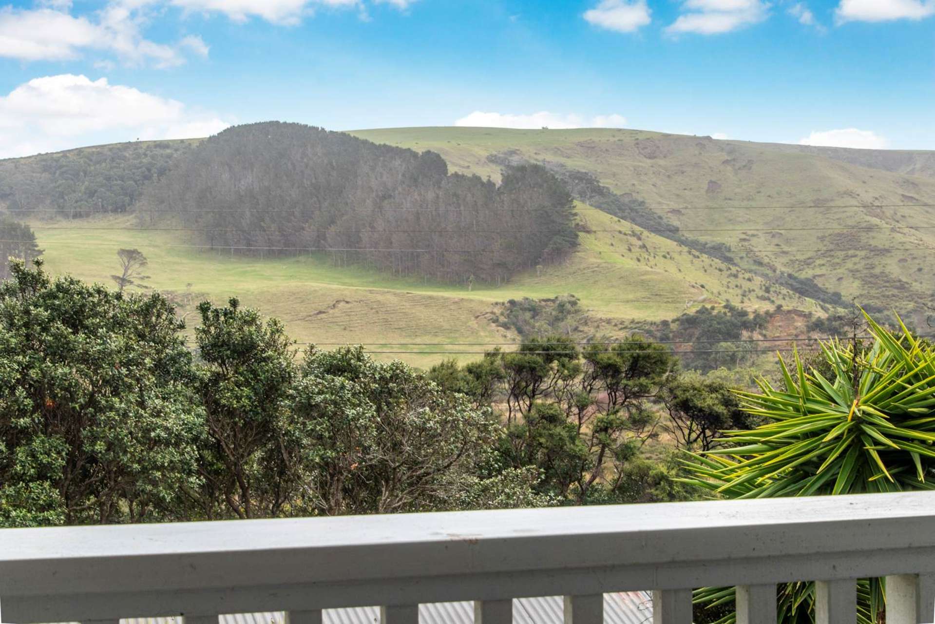 202 Bethells Road Bethells Beach_0