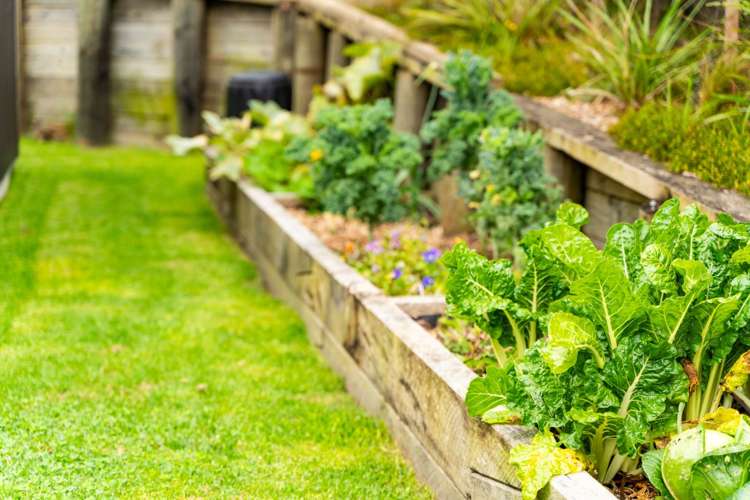 29 Jordan Street Mangawhai Heads_43