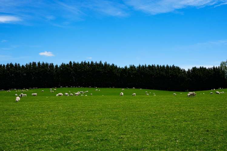 159 Ardlussa Road Longridge North_9