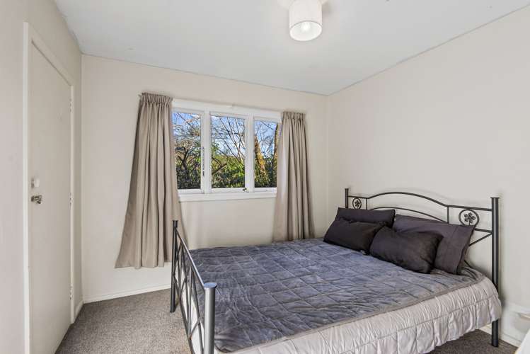 54 Pocock Road Springfield_8