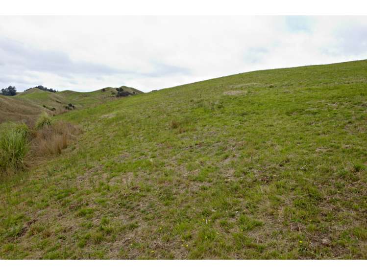 47 Haul Road Tahekeroa_24