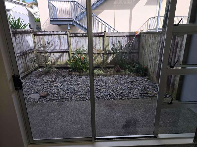 Ground Floor/241R Rosedale Road Albany_6