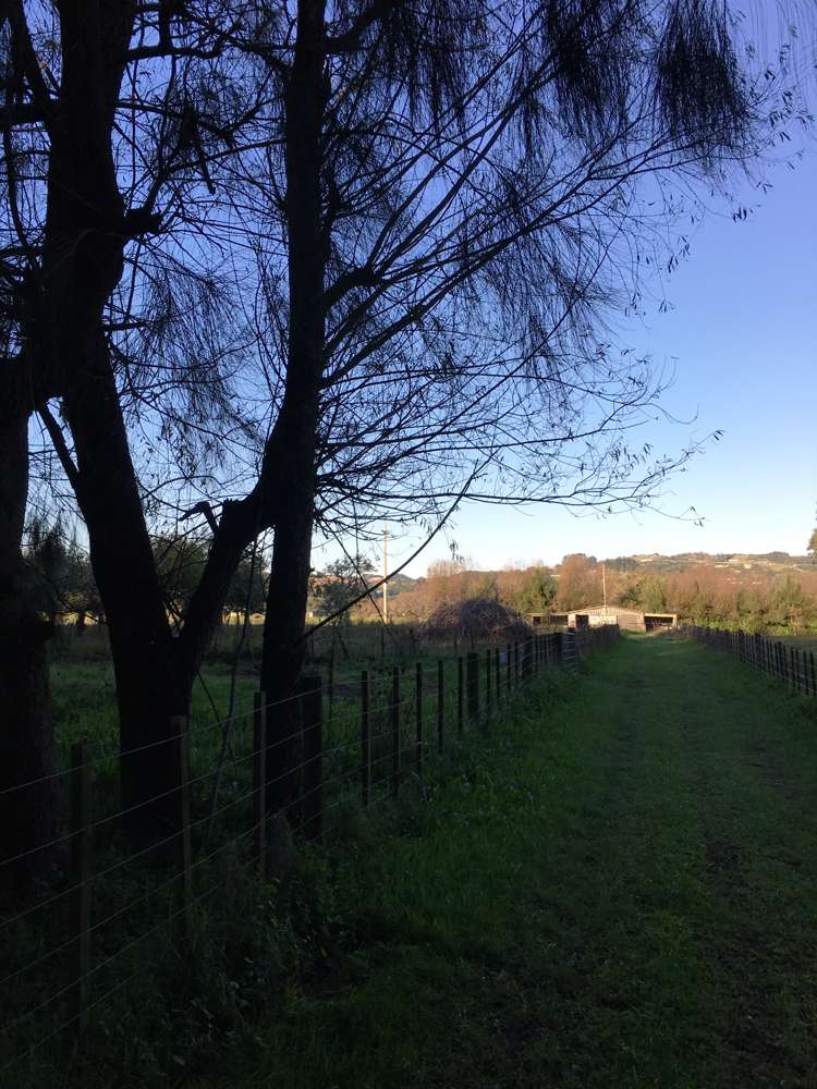 249 Sutton Road Drury_16