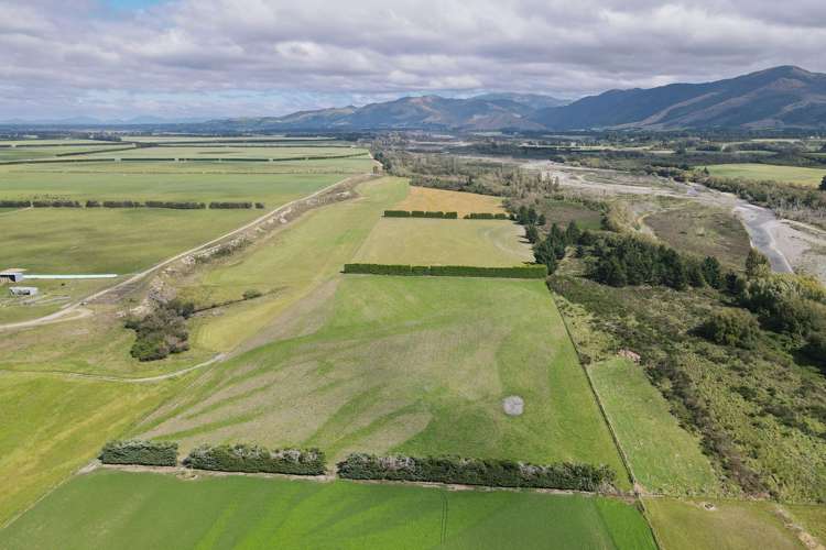 590 Ashley Road Summerhill_12