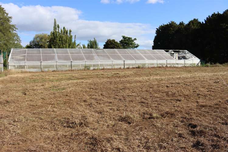 2435 State Highway 10 Kerikeri Surrounds_4