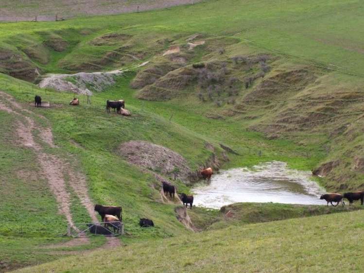 1006 Glenmark Drive Waipara_15