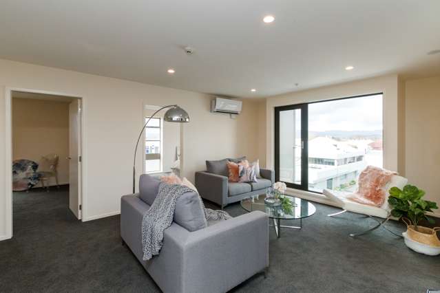 6/157 Broadway Avenue Palmerston North Central_3