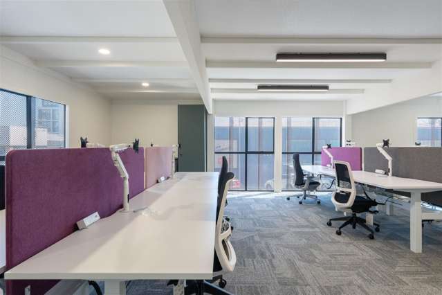 7 Rose Road Grey Lynn_1