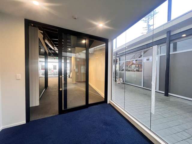 295 Parnell Road Parnell_3