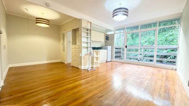 20/7 Claybrook Road Parnell_1