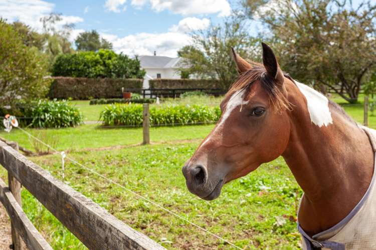 708 Waghorn Road Manawaru_33