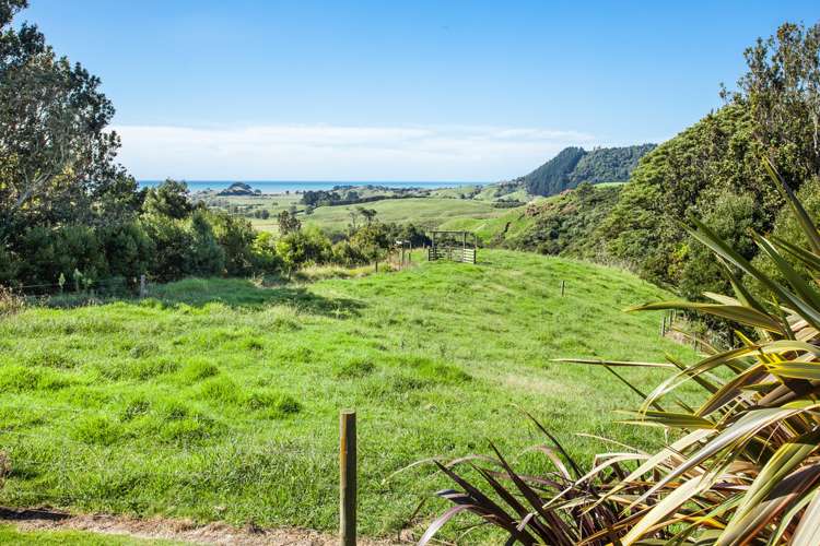 18 Coast View Road Opotiki Coastal_5