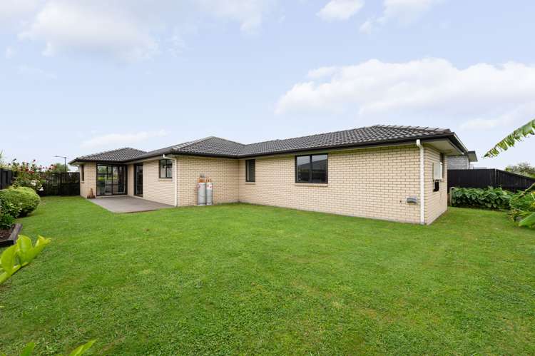 31 Lulu Avenue Chartwell_14