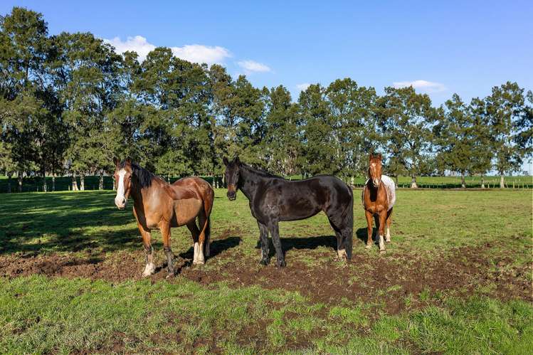 165 School Road Manawaru_18