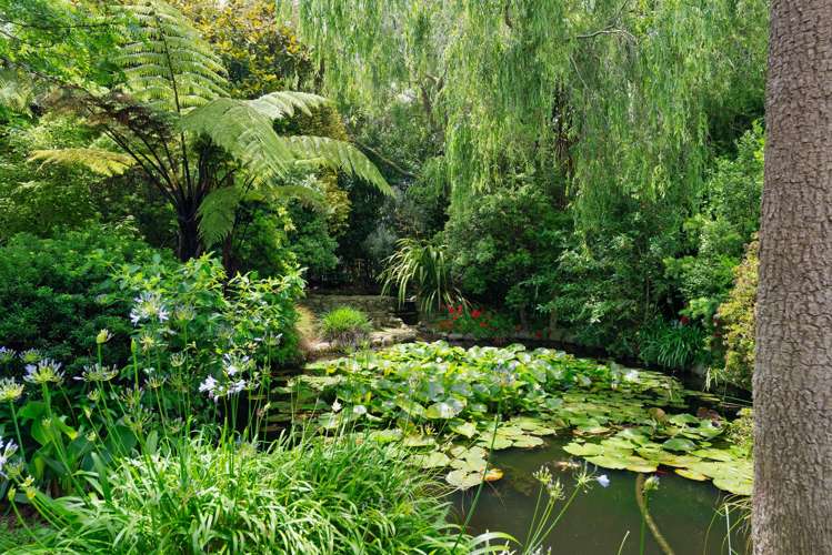 64 Lea Grove Levin_37