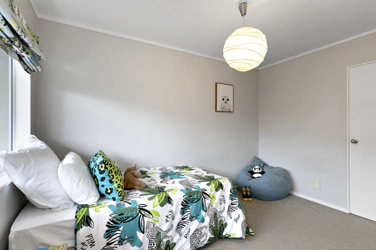 4b Palm Grove Berhampore_5