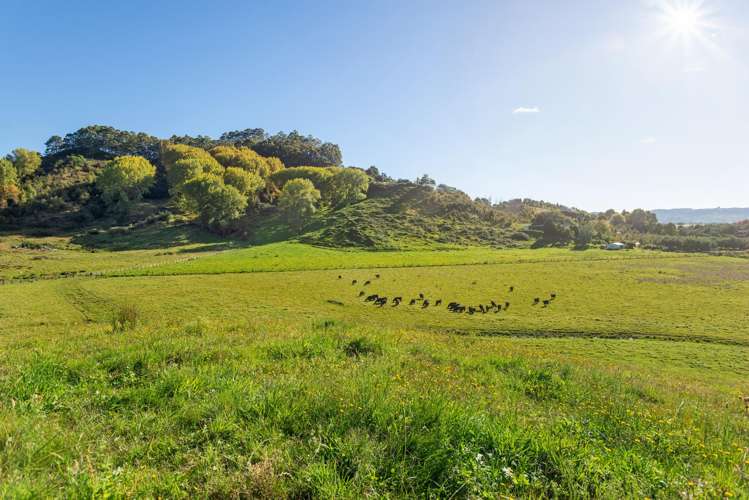 Lot 2 Repongaere Road Patutahi_15